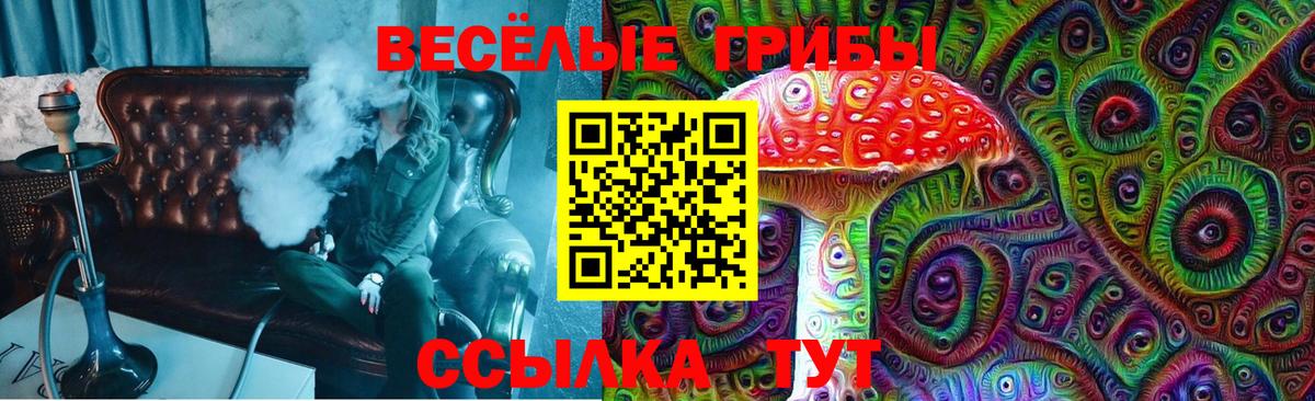 Псилоцибиновые грибы мицелий Буйнакск