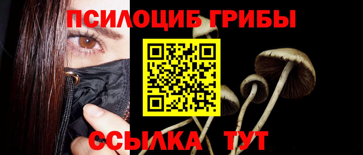 Галлюциногенные грибы MAGIC MUSHROOMS  Псилоцибиновые грибы прущие грибы  Вход с VPN  Буйнакск 
